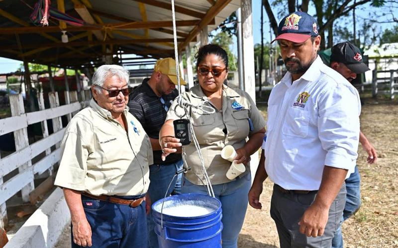 Concurso resalta el potencial del hato lechero de Petén. / Foto: MAGA.