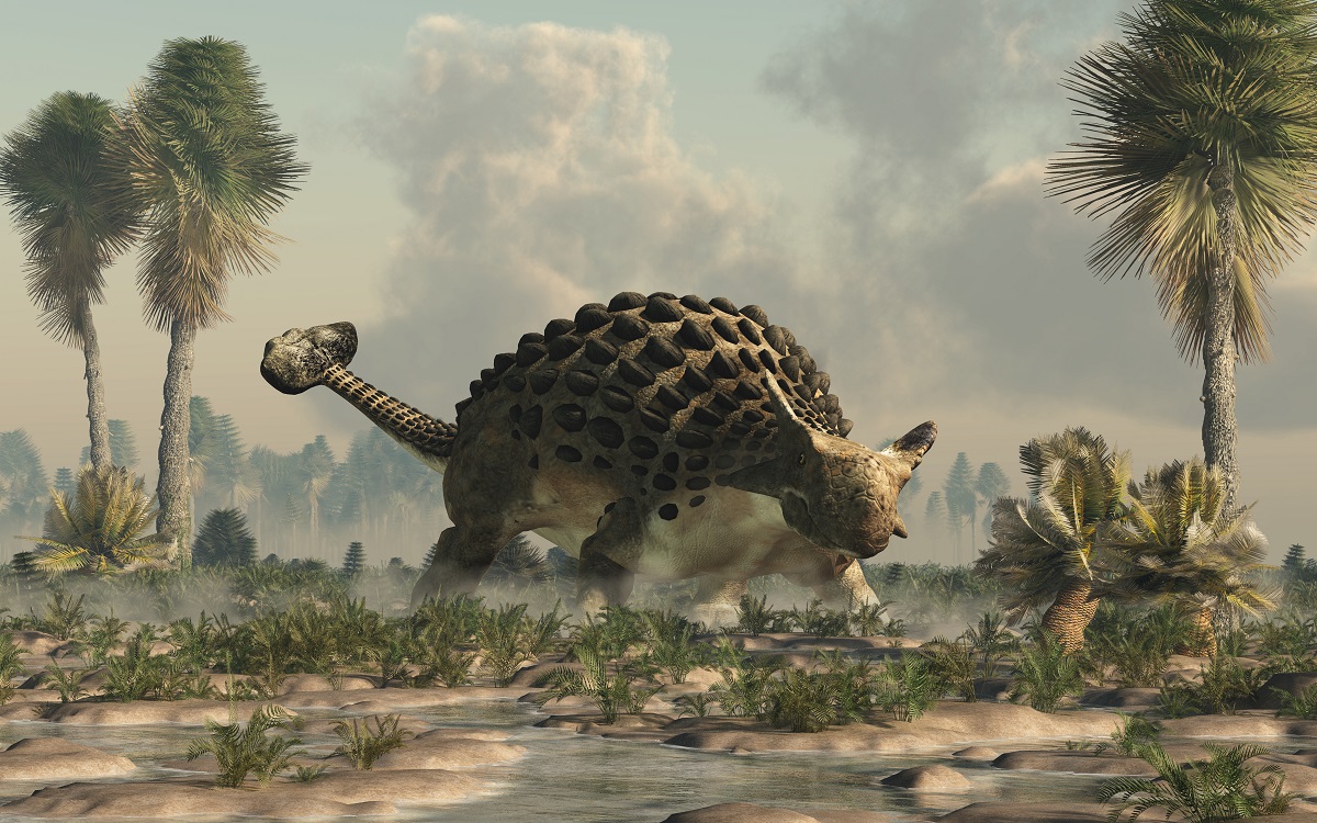 Ejemplar de anquilosaurio. / Foto: Lifeder.