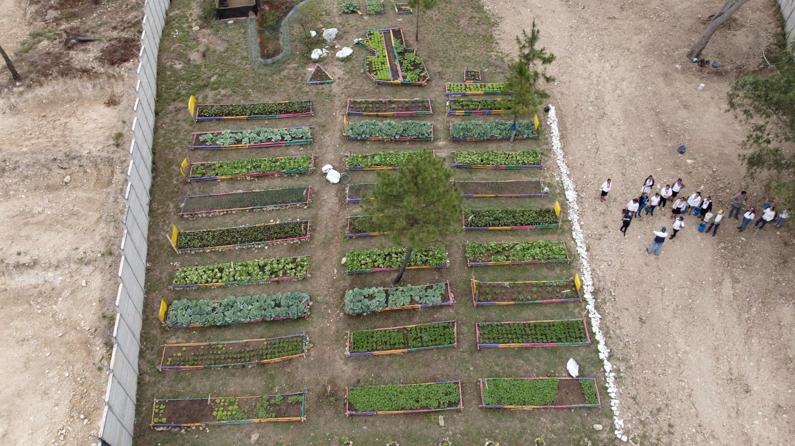 Agrovida, estrategia integral a través de huertos sostenibles, ahorro y crédito comunitario