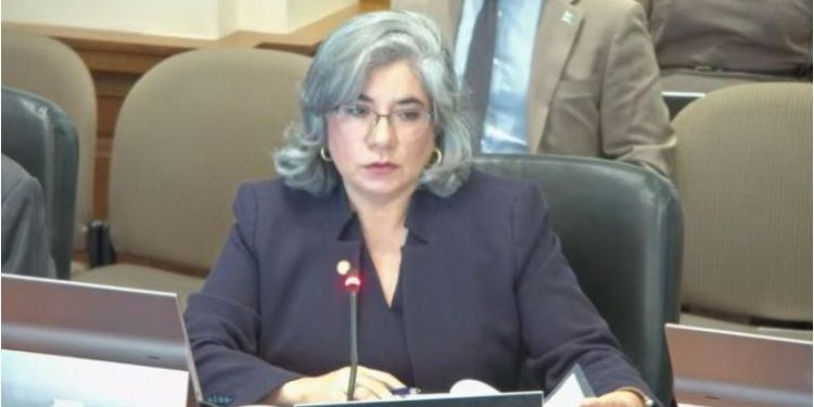 Guatemala presenta nominación de Claudia Escobar a la Secretaría General Adjunta de la OEA