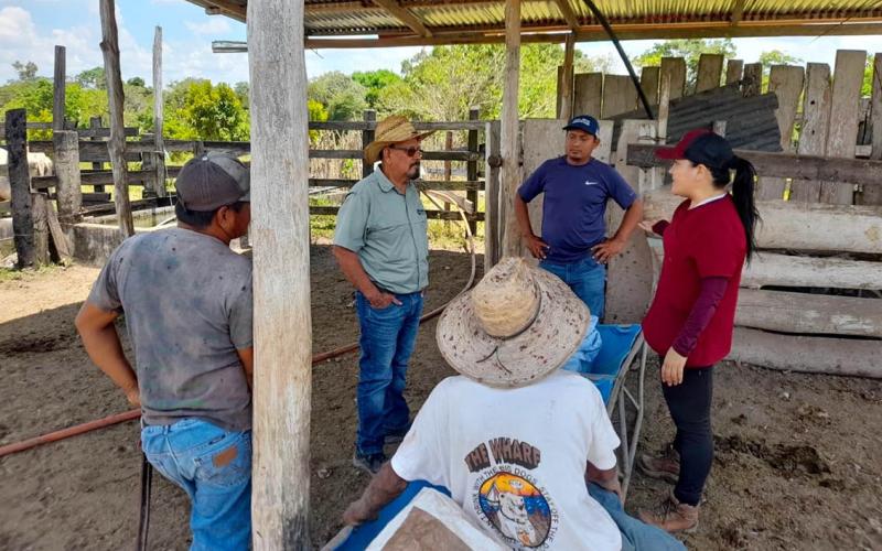 MAGA capacita en Petén sobre enfermedades del ganado bovino. / Foto: MAGA.