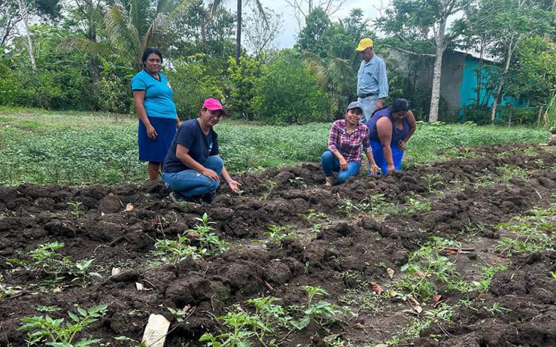 Mujeres de Santo Domingo, Poptún, reciben pilones y capacitación. / Foto: MAGA.