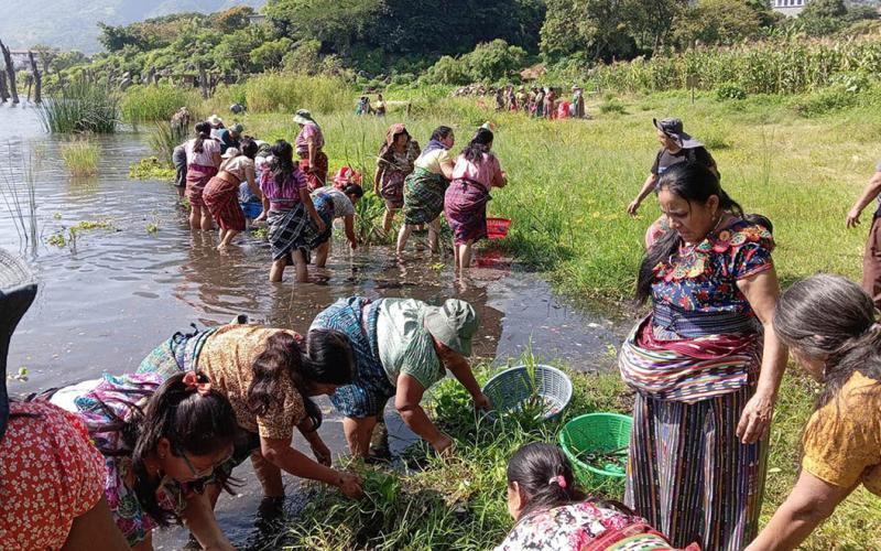 Poyectos comunitarios Mujeres de San Pedro La Laguna, Sololá, trabajan por la conservación del lago de Atitlán.