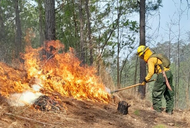 COED de Petén refuerza acciones para el control de incendios forestales
