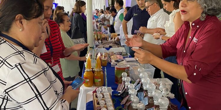 Plan Retorno al Hogar: Estos programas ofrece el viceministerio de desarrollo de la mipymes