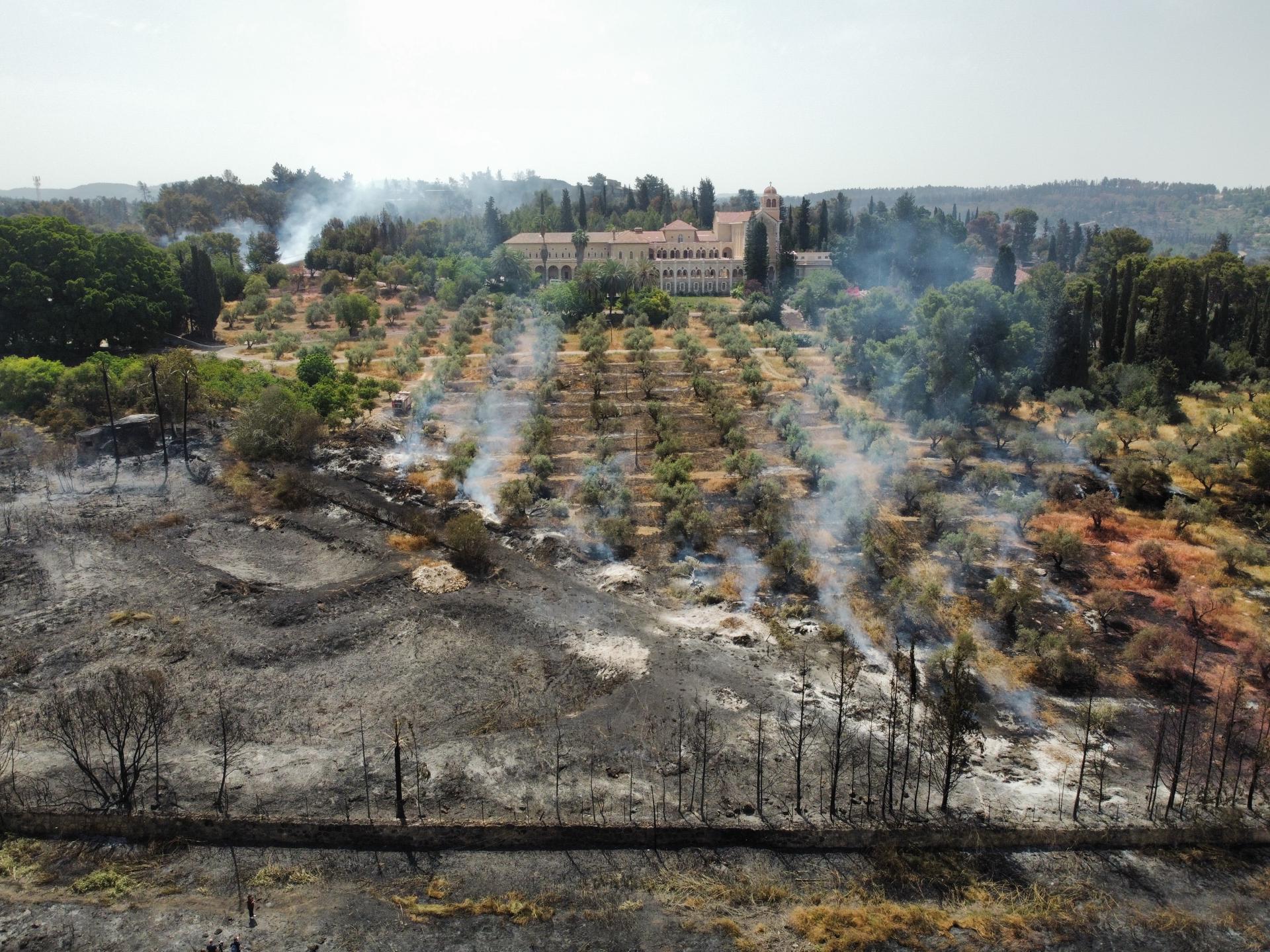 Fuego en Israel: Bomberos luchan contra incendios forestales en Jerusalén