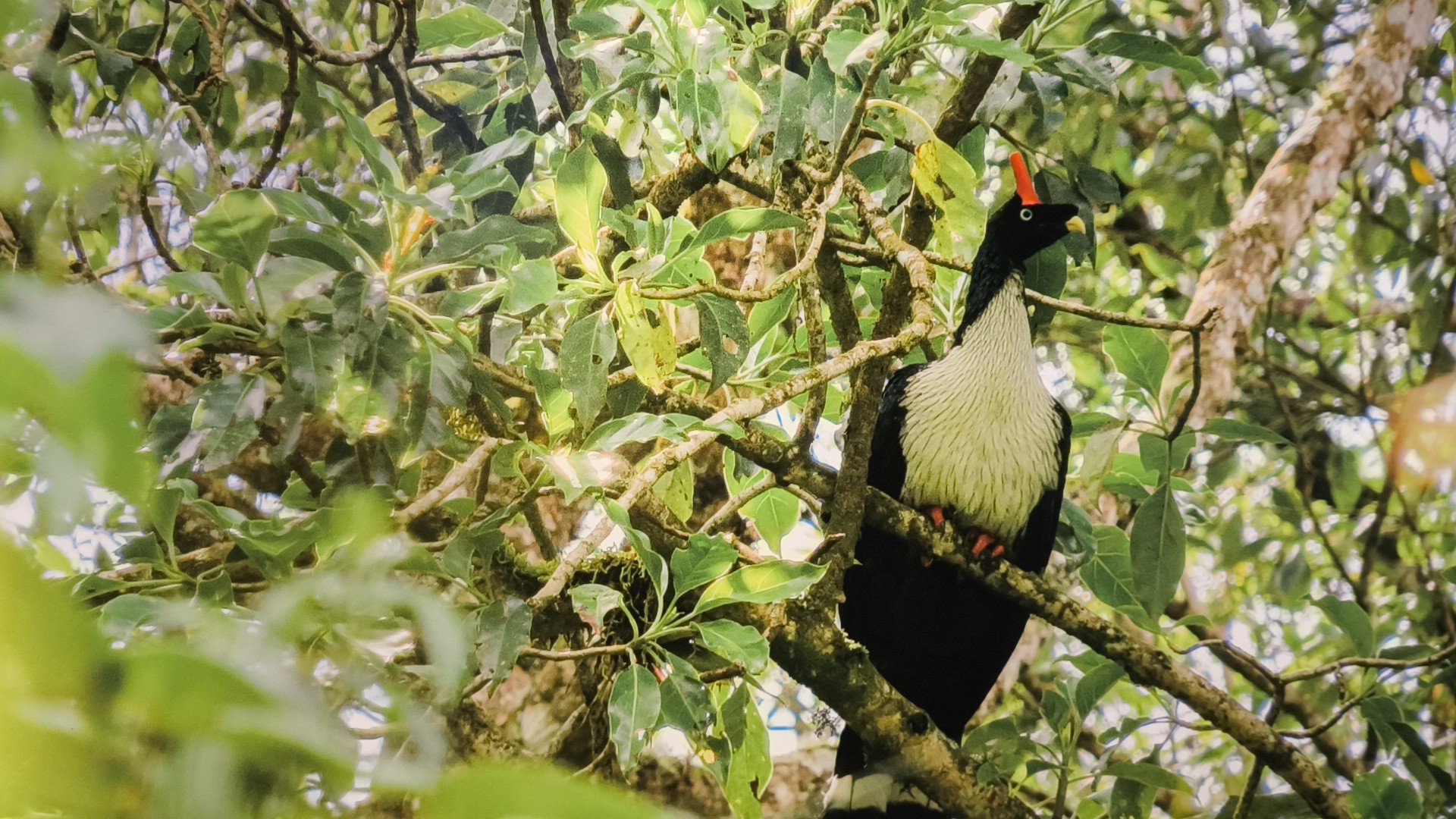 San Marcos avanza hacia la conservación y el desarrollo sostenible