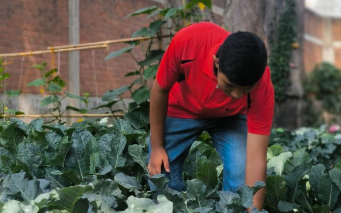 Daniel sueño con sembrar maíz en el huerto escolar./Foto: CIV.