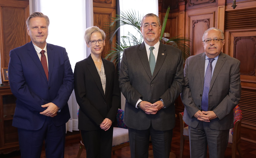 Presidente se reúne con la relatora especial de la ONU
