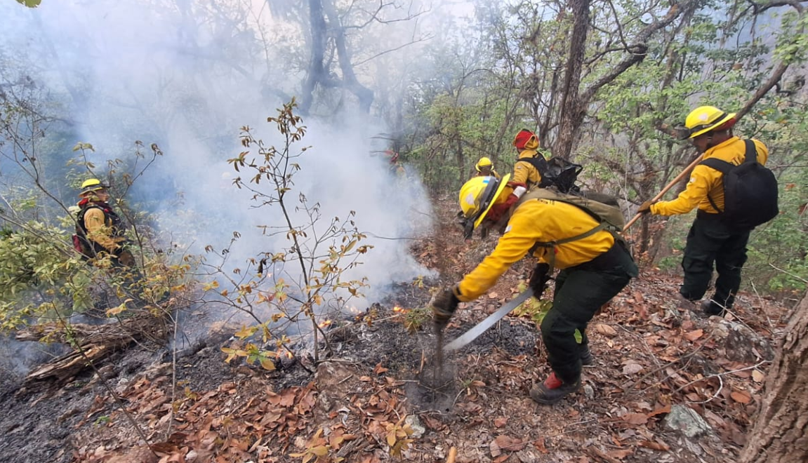 Conred ha atendido más de mil 300 incendios de enero hasta la fecha