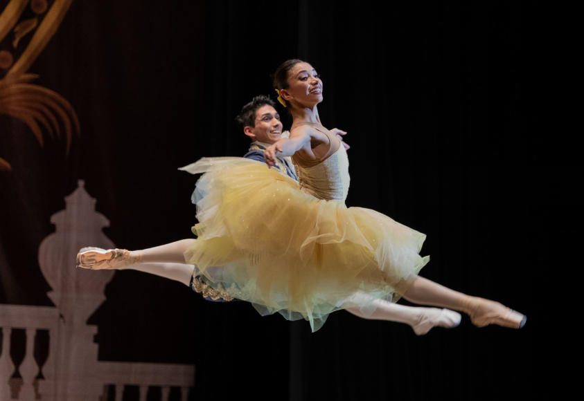 Abren convocatoria para ser parte del Ballet Nacional “Christa Mertins”. (Foto: Ballet Nacional)
