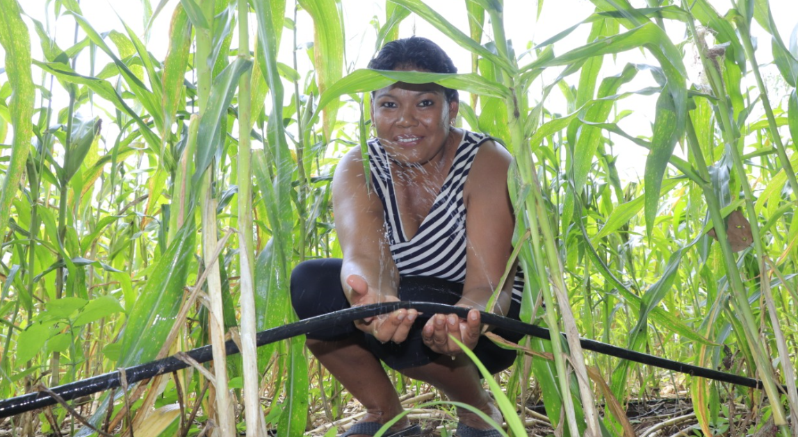 Tob’anik representa una oportunidad concreta para miles de agricultores que han visto limitadas sus posibilidades de crecimiento. / Foto: MAGA