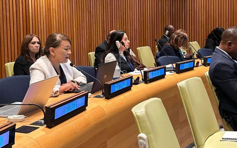 Guatemala propone reforzar mecanismos de cooperación en Foro Ecosoc
