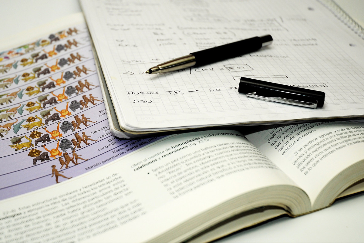 Entre las prácticas extendidas está la inclusión de autores sin mérito.