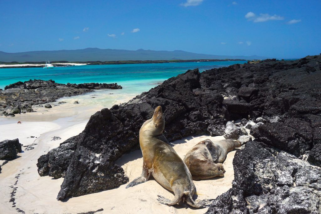 Islas Galápagos. / Foto: RandomTrip.