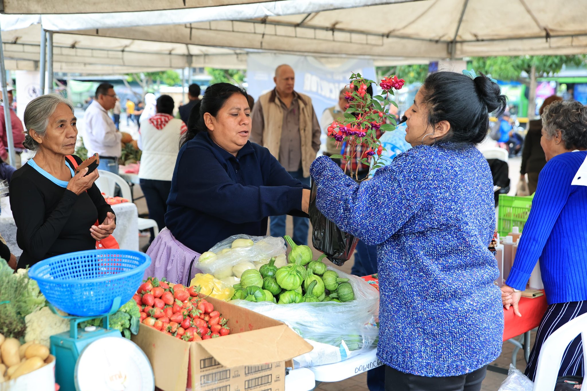 Feria del Agricultor llega a Coatepeque y Jocotán este jueves