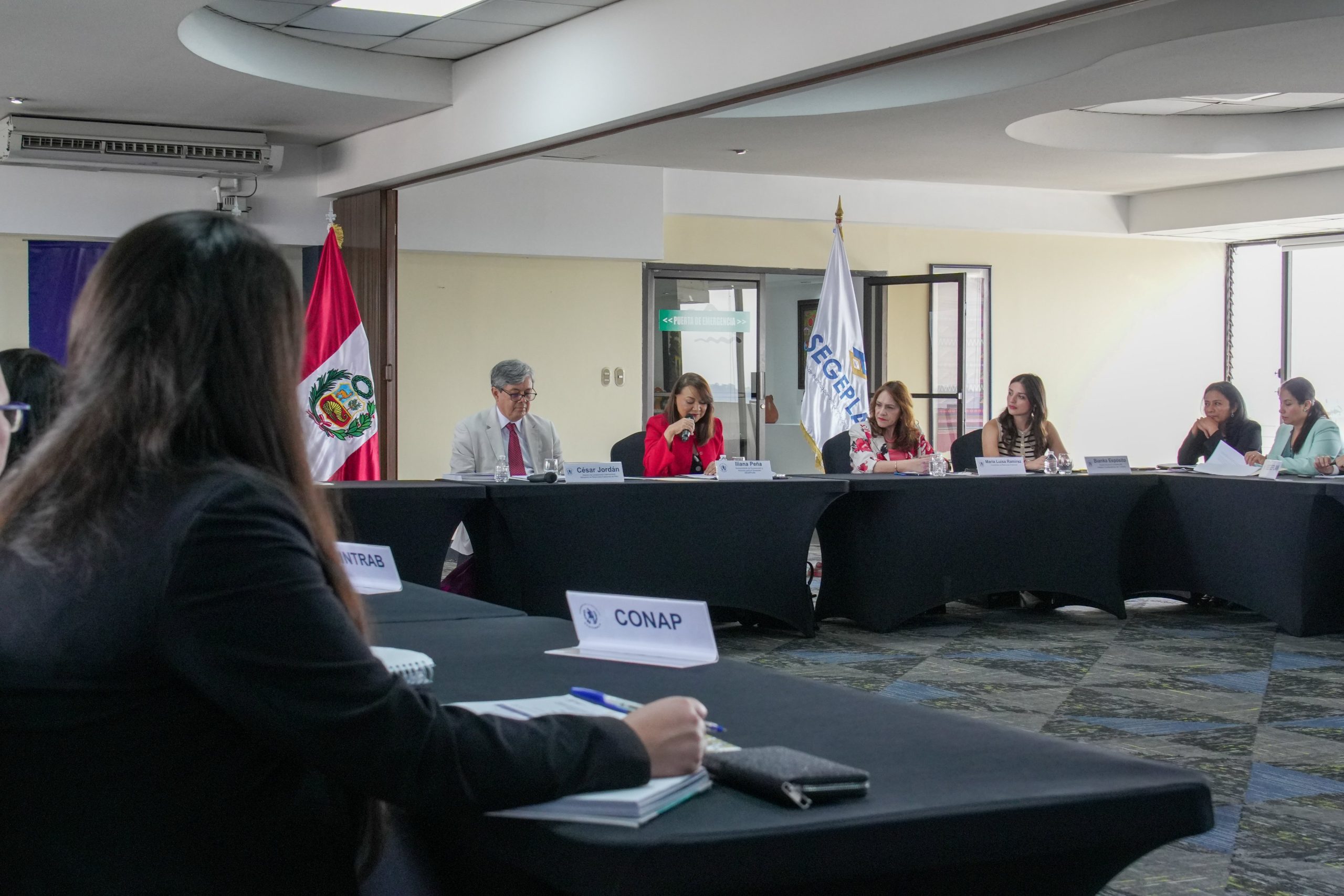 Guatemala reactiva cooperación técnica y científica con Perú