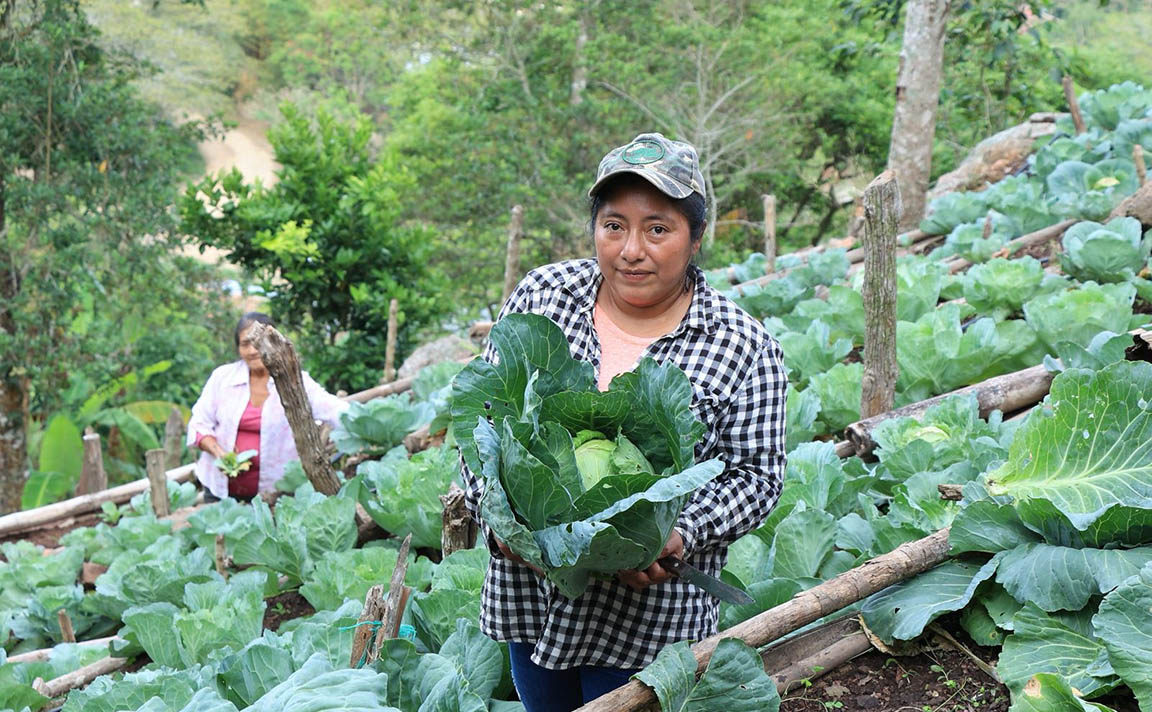 Paso a paso: así funciona el Crédito Tob’anik para agricultores guatemaltecos