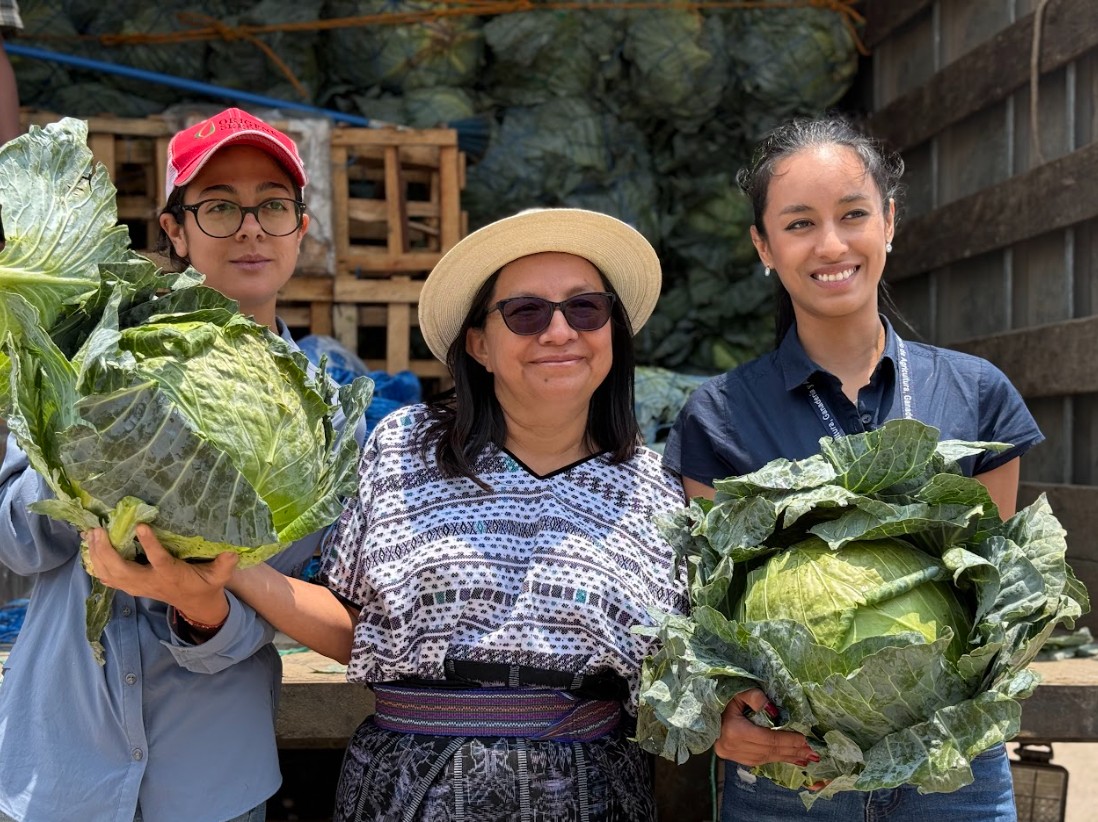 Promueven asistencia técnica especializada para agricultores en Patzicía y Santa Cruz Balanyá