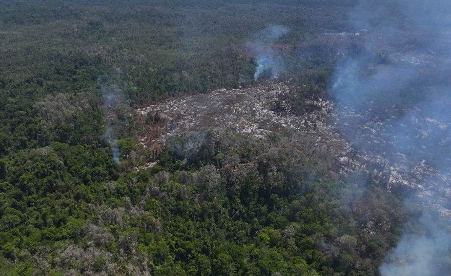 Conap denuncia incendio provocado por usurpadores en parque nacional Laguna Lachuá