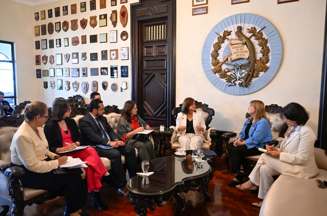 Presidenta en funciones sostuvo reunión con representantes de la CIDH. (Foto: Byron de la Cruz)