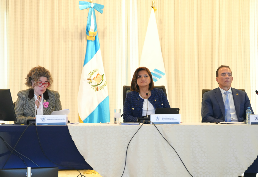 La Vicepresidenta participó en el Gabeco, en el cual se presentaron avances en la agenda de trabajo anual