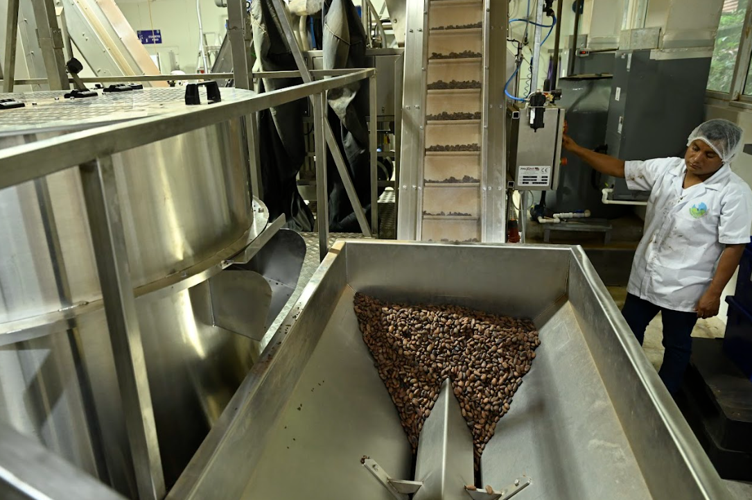 Planta de industrialización de cacao impulsa el desarrollo rural en el Valle del Polochic. (Foto: Álvaro Interiano)