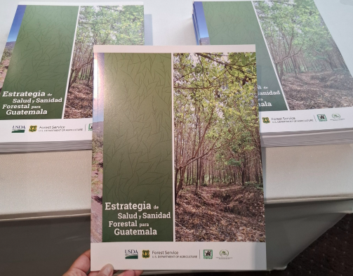 Conap e Inab presentan plan decenal contra plagas y enfermedades forestales