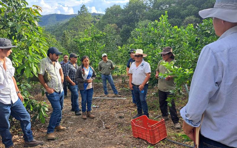 Extensionistas del MAGA comparten conocimientos con las comunidades