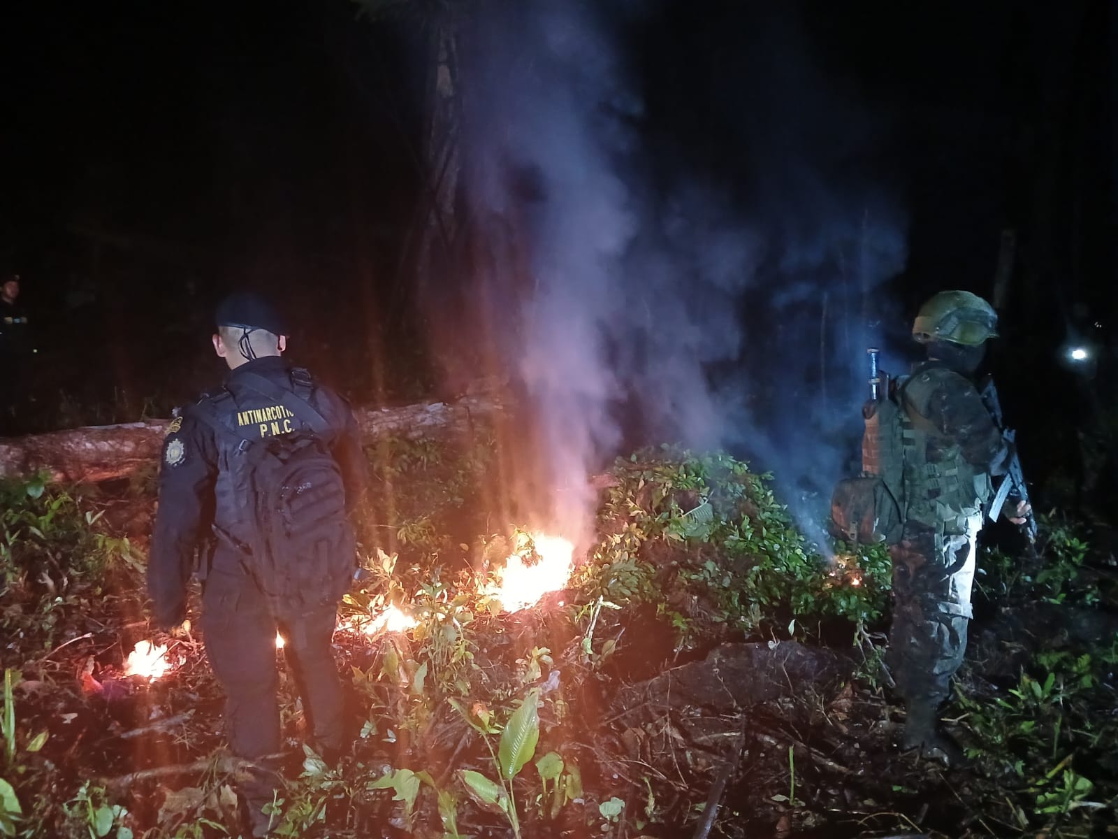 Agentes de la SGAIA incineran la droga que se erradicó en el operativo que se desarrolló en áreas montañosas de San Luis, Petén.
