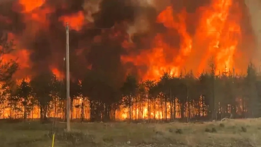 Los incendios forestales ya han consumido cerca de cuatro millones de hectáreas de bosques en Canadá.