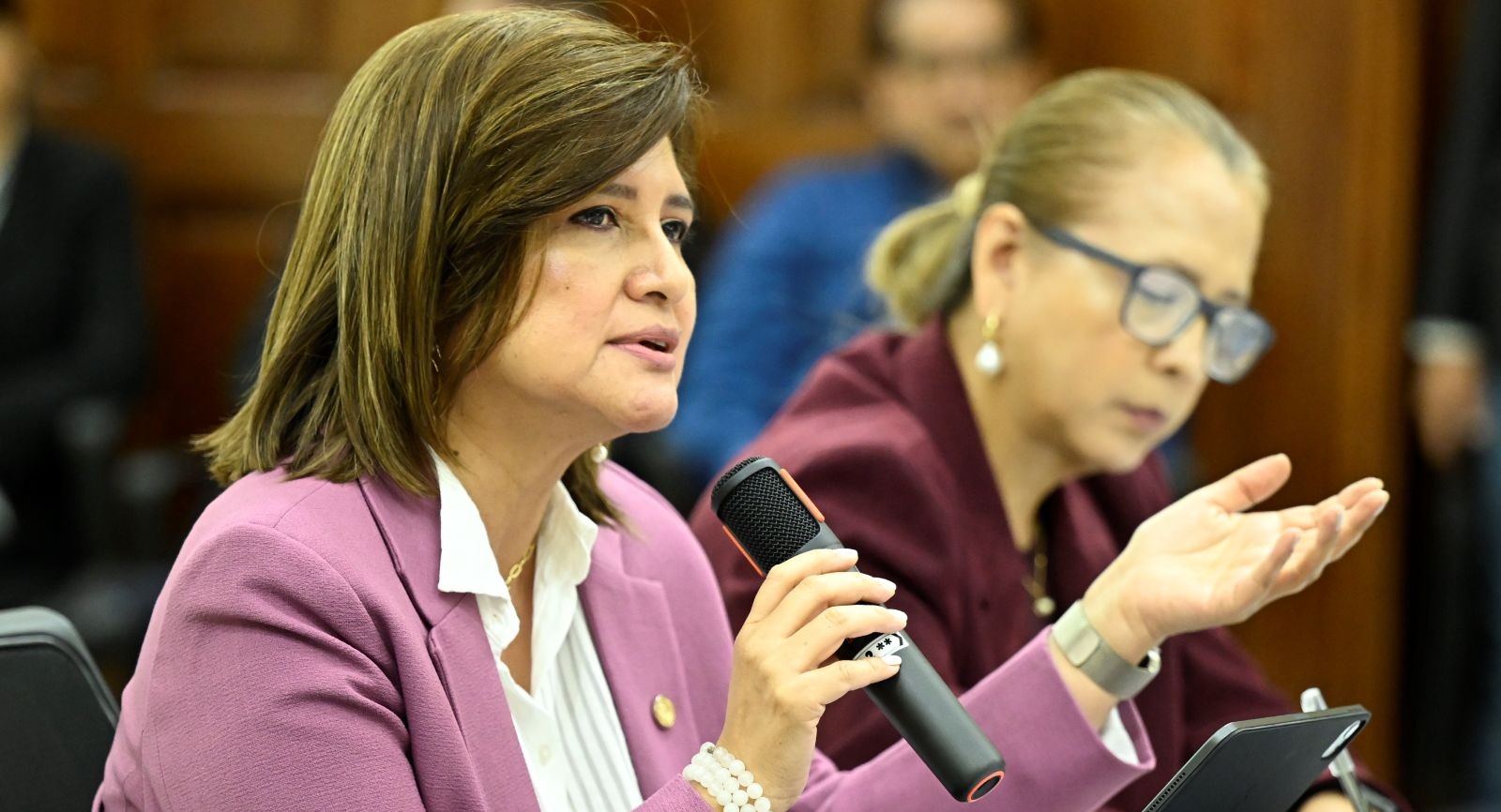 La vicepresidenta Karin Herrera, durante la Tercera Reunión Ordinaria de Desarrollo Social. /Foto: Álvaro Interiano