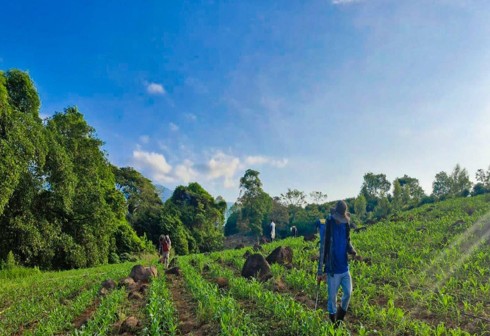 Mesa Técnica Agroclimática contribuye a una agricultura sostenible en Santa Rosa