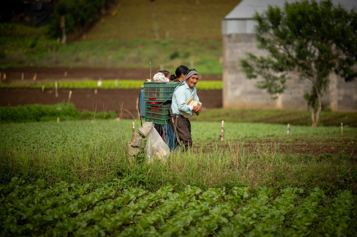 Cooperativas podrán aceptar diversas garantías con el Crédito Tob’anik
