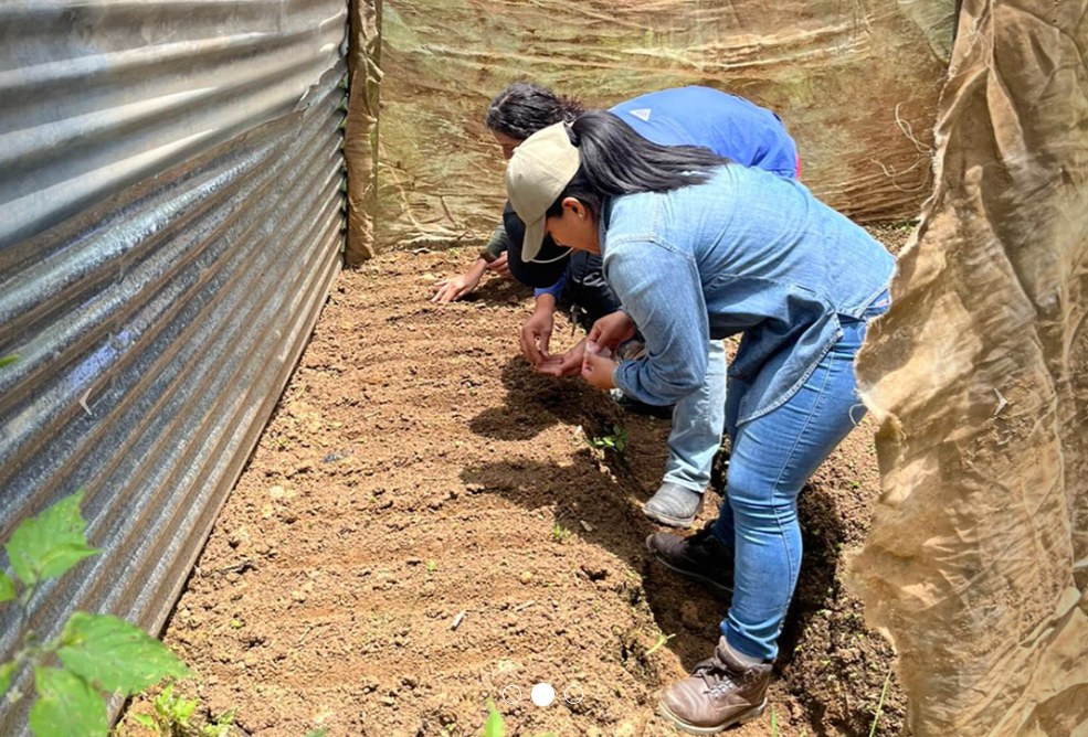 MAGA impulsa huertos familiares en Rabinal para combatir la desnutrición infantil