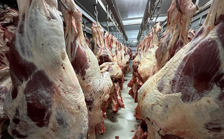 Licencias sanitarias buscan reducir riesgos en el almacenamiento de carne. / Foto: MAGA.