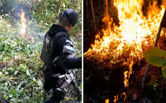 El avalúo oficial, la droga incinerada está valorada en aproximadamente 56 mil quetzales. / Foto: PNC