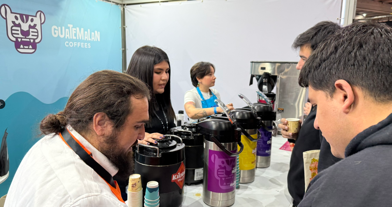 Guatemala participa en la ExpoCafé Chile 2025