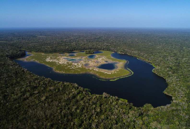 MAGA impulsa estrategias integrales para conservar la Reserva de la Biosfera Maya