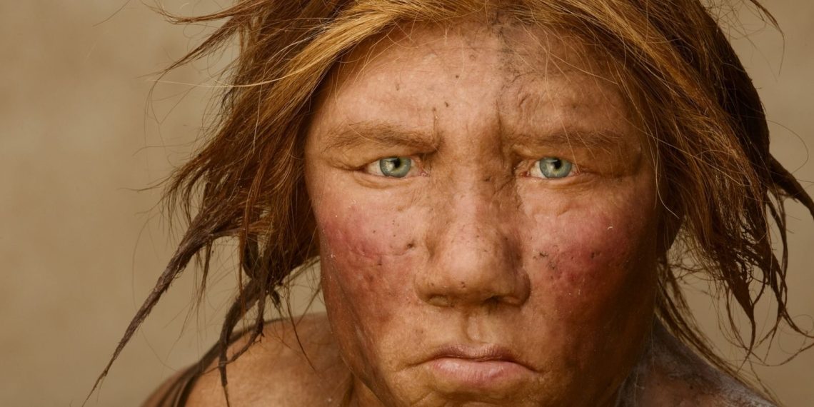 Los neandertales crearon las primeras “fábricas de grasa” hace 125 mil años