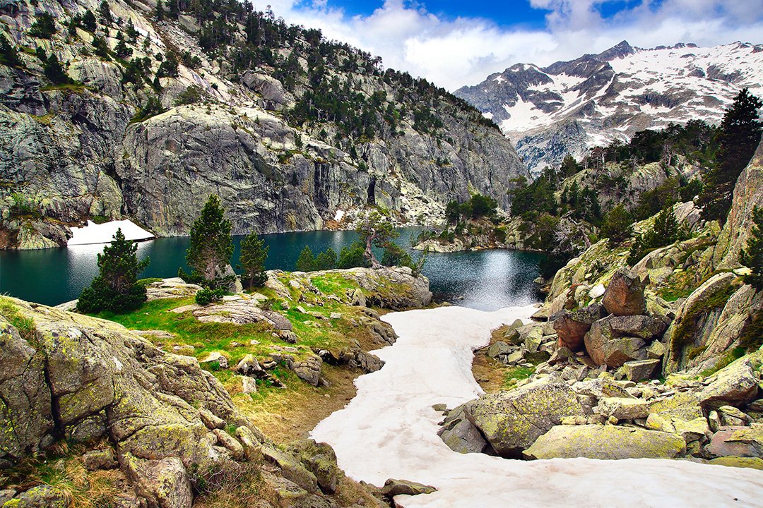 Estudio revela que en los Pirineos había gran diversidad de dinosaurios carnívoros
