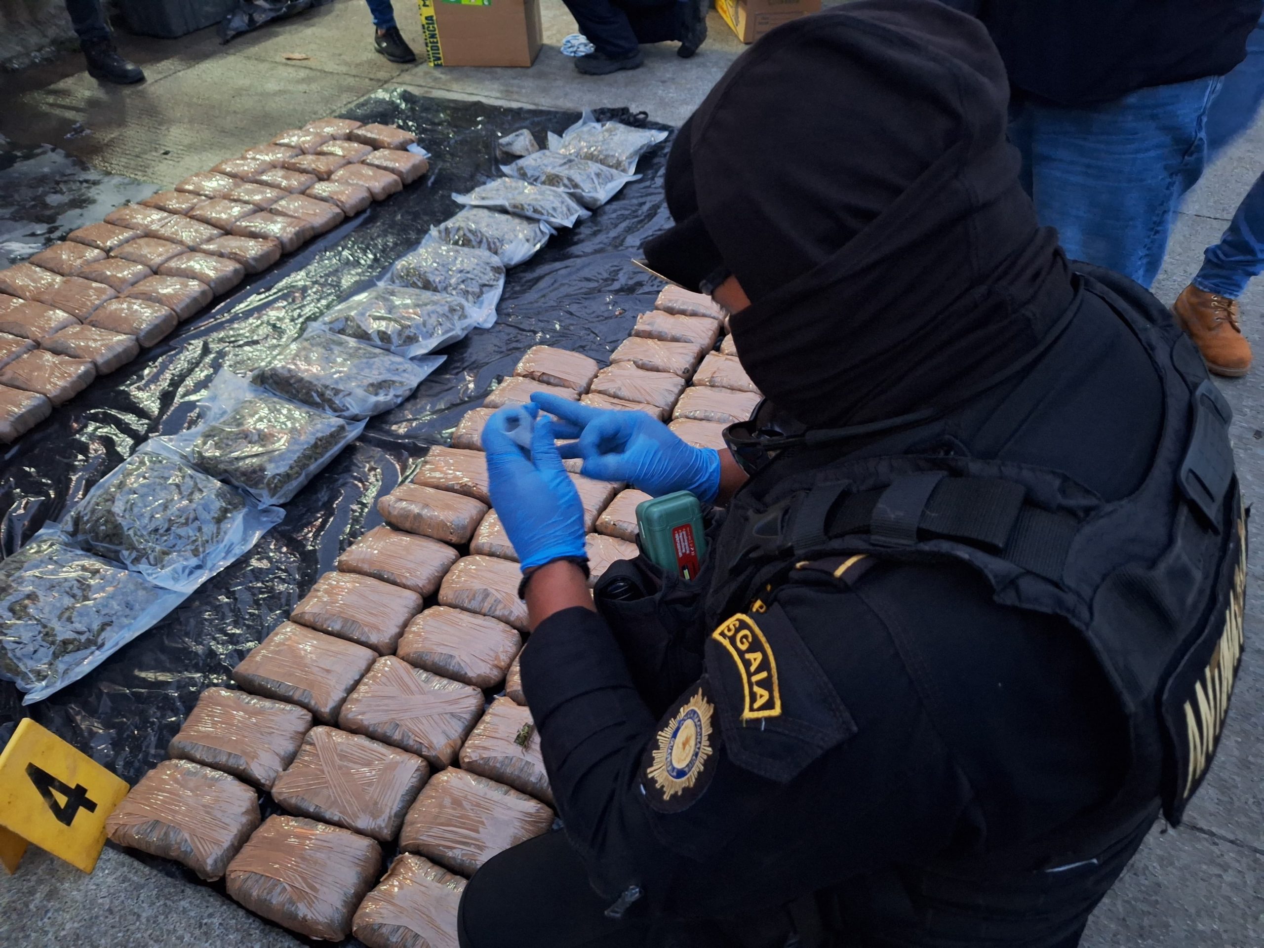 PNC decomisa 215 libras de marihuana en Alta Verapaz