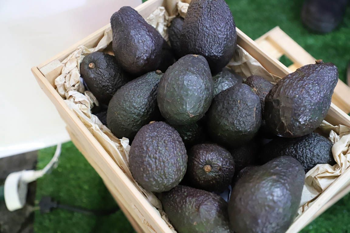 Guatemala fortalece su presencia en el mercado regional del aguacate