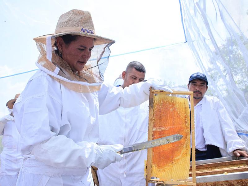 Ministra de Agricultura en su visita a proyectos que impulsa la institución en Purulhá. / Foto: MAGA.