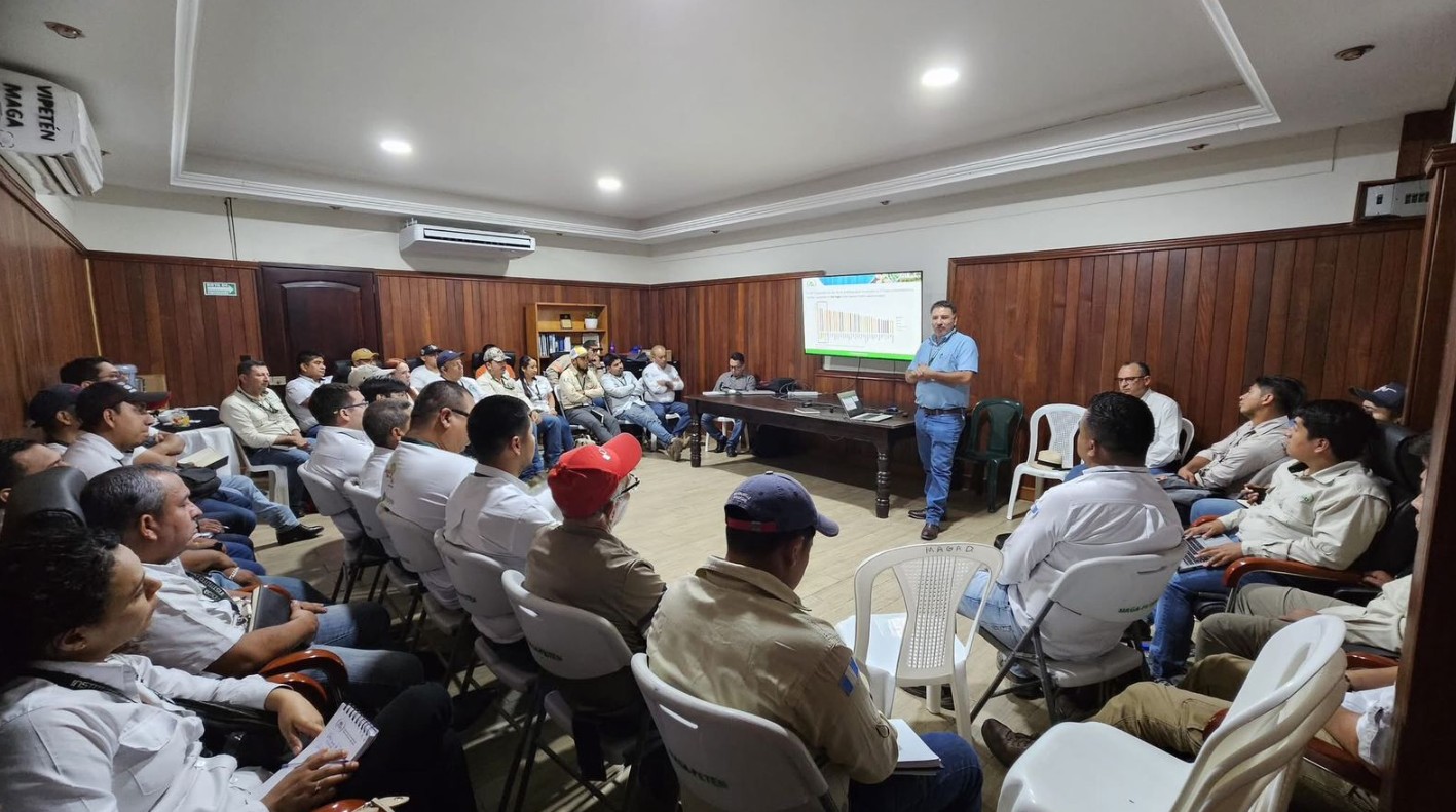 Acciones concretas para combatir la deforestación y restaurar áreas degradadas en Petén