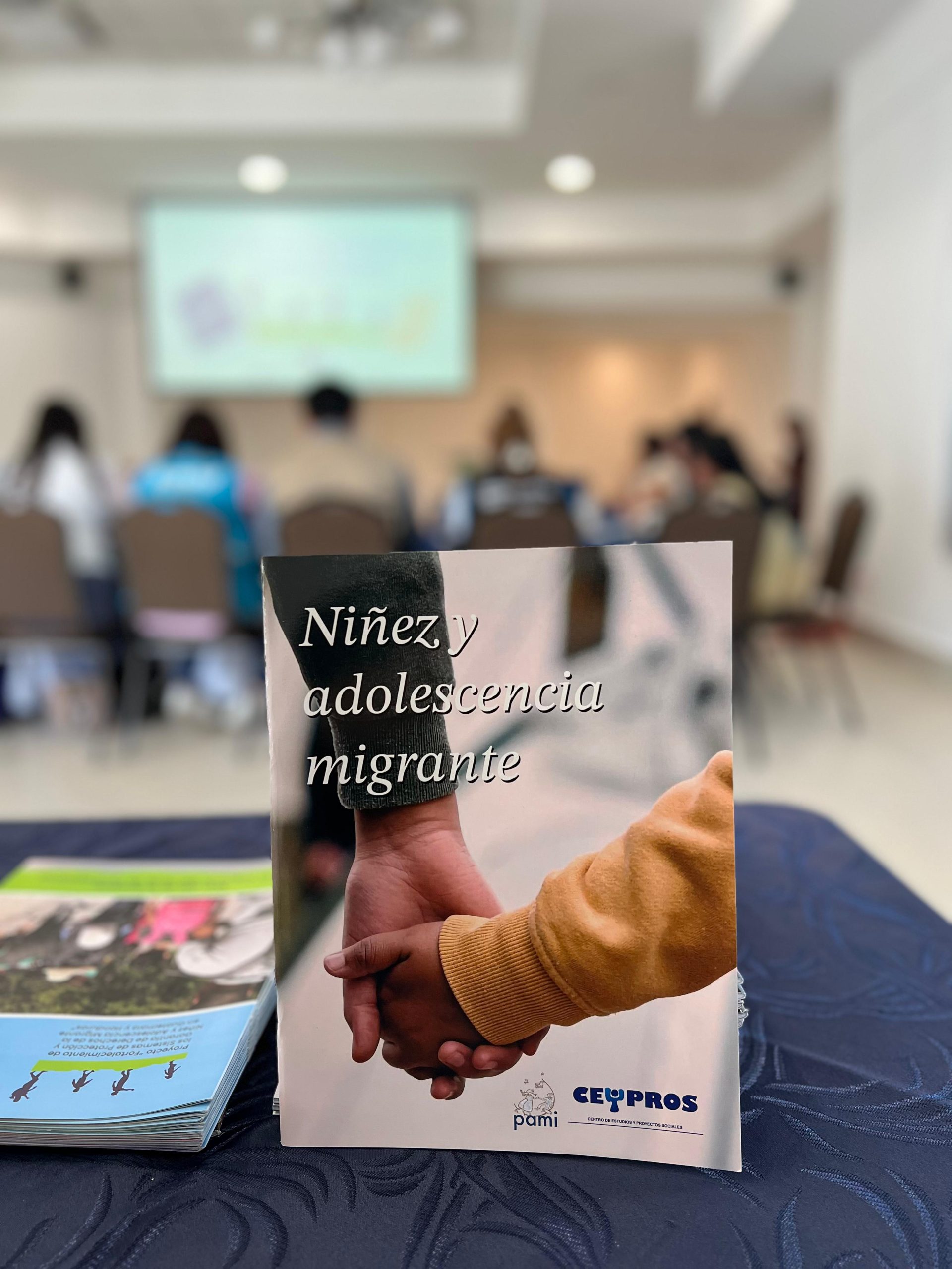 Esfuerzos para fortalecer la protección y garantizar los derechos de la niñez y adolescencia migrante