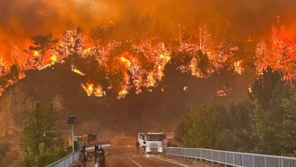 Los incendios forestales que azotan Europa han consumido cientos de miles de hectáreas, mientras las altas temperaturas agobian a millones de personas.