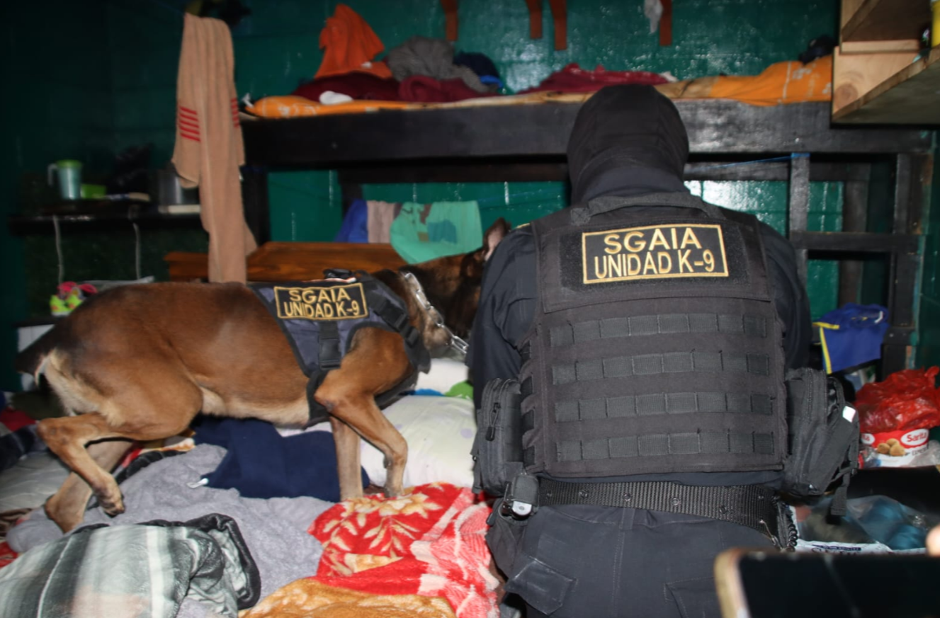 Las autoridades detallaron que en esta intervención participó personal de unidades especializadas y el equipo canino K9 de la SGAIA. / Foto: PNC