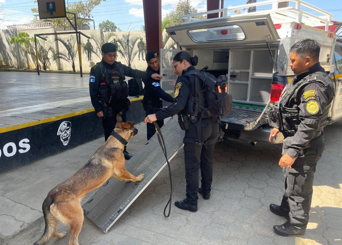EE. UU. acondiciona seis patrullas de la PNC para traslado de agentes caninos en Guatemala