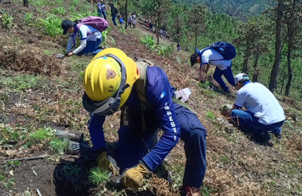 Conred participa en jornada de reforestación en Chimaltenango